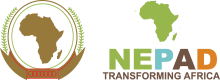 Logo_nepad