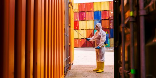 Disinfection of a container from a cargo freight ship